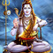 Laxminarayan's profile picture