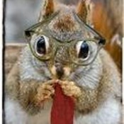 LynnC322's profile picture