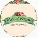 Michal_Negrin's profile picture