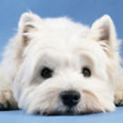 aeh71's profile picture