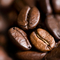 Olde_World_Coffee's profile picture