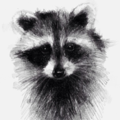 Laughing_Racoon's profile picture