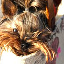 patriceallen's profile picture
