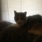 Oldies909_'s profile picture