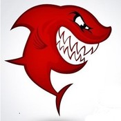 little_red_shark's profile picture