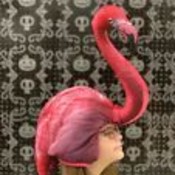 The_Desert_Flamingo's profile picture