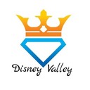 disneyvalley's profile picture