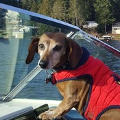 Skipper_Rudy's profile picture