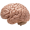 TopDeals2020's profile picture