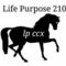 Lifepurpose210's profile picture
