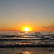 BargainsGalore_More's profile picture