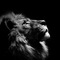 DBCB's profile picture