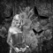 Realm_of_Magick's profile picture