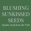 SunkissedSeeds's profile picture