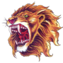 Lion66's profile picture