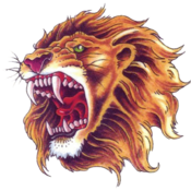 Lion66's profile picture