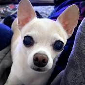 cocosbigcloset's profile picture