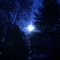 Moonlight_Ambiance's profile picture
