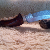 Mountainmantrader's profile picture
