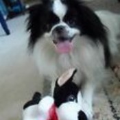 juliemccolmsthisthat's profile picture