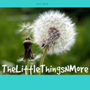 littlethingsnmore's profile picture
