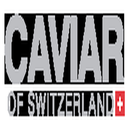 Caviarof306's profile picture