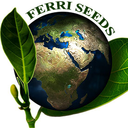 FerriSeeds's profile picture