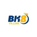 bk8vn's profile picture