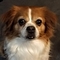 Michael_Tiffany's profile picture