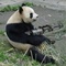 MisterS9's profile picture