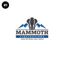 Mammoth_Liquidations's profile picture
