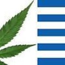 bio_medi's profile picture