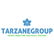 Tarzanegroup's profile picture