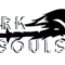 darksoulsshop's profile picture