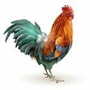 thethriftyrooster's profile picture