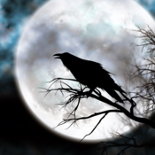 Retroraven80's profile picture