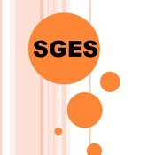 SGES's profile picture