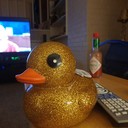 Ducksareyellow_'s profile picture