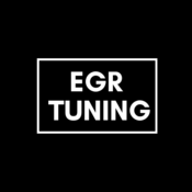 EGR_Tuning's profile picture