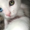 yeyita7's profile picture