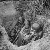 Foxhole_Militaria's profile picture