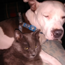 Peek-A-Booth's profile picture