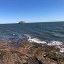 CoastofNewEngland's profile picture