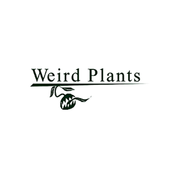weirdplantsshop's profile picture