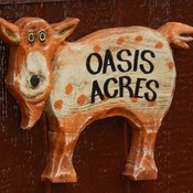 OasisAcres's profile picture