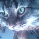 Martys_Crafts's profile picture
