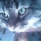 Martys_Crafts's profile picture