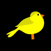 YellowBirdAlley's profile picture