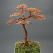 Root_Wire_Studio's profile picture