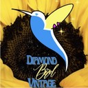 DiamondBirdVintage's profile picture